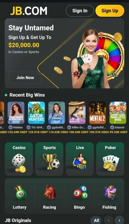 Discover JB Casino Pakistan Your Gateway to Online Gaming 1144080583