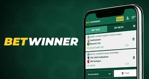 Exploring the BetWinner Platform Your Ultimate Betting Destination