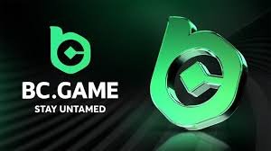 Understanding the BC.Game KYC Verification Process -809536948